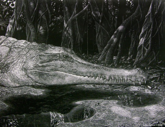 Incredible scratchboard drawing by John Agnew